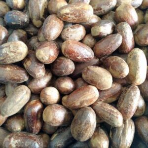 pala kupas tanpa batok (nutmeg)