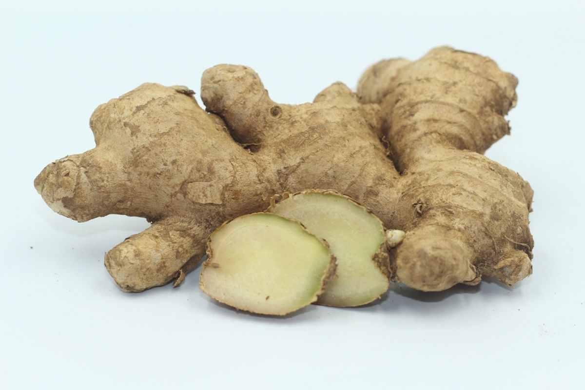 jahe gajah kering iris (dried ginger slices) jahe gajah kering iris (dried ginger slices)