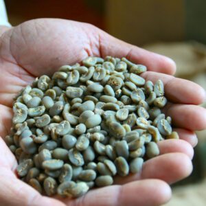 biji kopi arabika mandheling (sumatra)