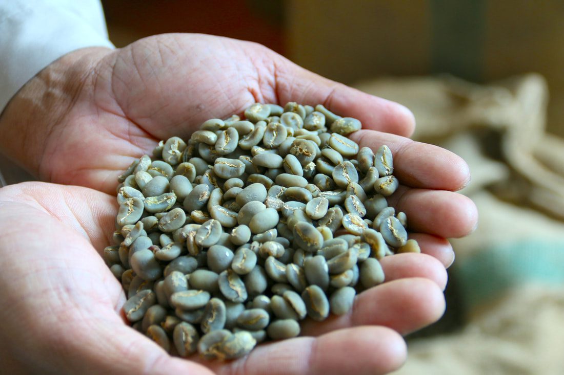 biji kopi arabika mandheling (sumatra) biji kopi arabika mandheling (sumatra)
