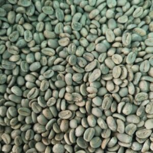 biji kopi arabika gayo (aceh)