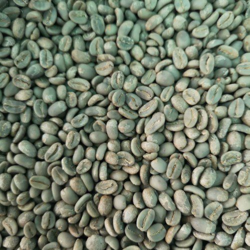 biji kopi arabika gayo (aceh) biji kopi arabika gayo (aceh)